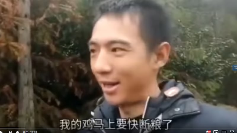 一位名叫“林林七”的网友日前在海外视频平台油管发布视频,讲述自己的小型养殖场在封城封路的情况下,遭遇灭顶之灾。(视频截图)